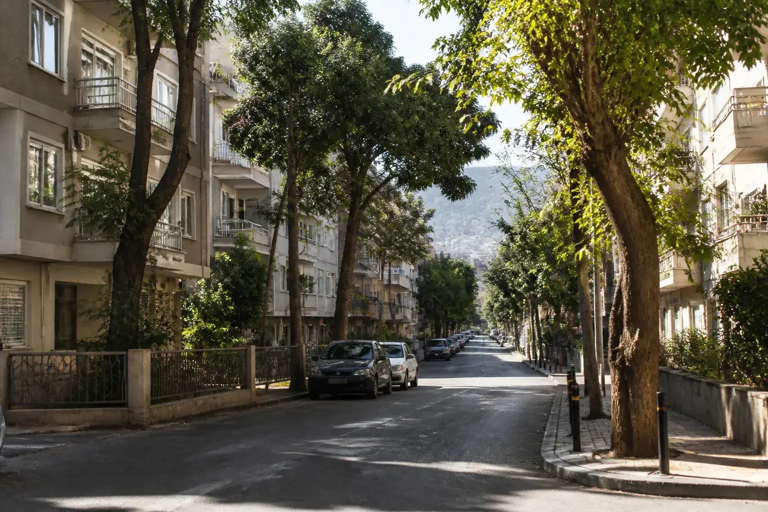 Bornova’da ağaçlıklı konut sokakları ve düşük katlı yapılar.